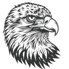 Eagle Clipart isolated on white background
