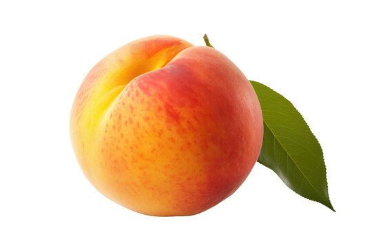 Two Peaches With Green Leaves on a White Background. On a White or Clear Surface PNG Transparent Background.