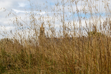 church in the countryside