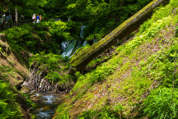 日本の風景・春　長野県軽井沢町　新緑の白糸の滝