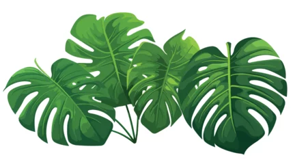 Foto op geborsteld aluminium Monstera Monstera leaves. Tropical vector illustration