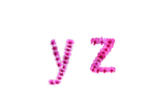 Image of orchids arranged in letters yz isolated on transparent background png file.