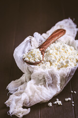 Raw curd cheese, grainy cottage cheese, ricotta, farmers cheese on dark background