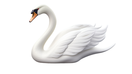 A majestic white swan with a striking black and orange beak gracefully glides through tranquil waters