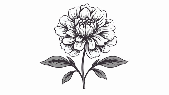 Pretty flower illustration black and white flat vect