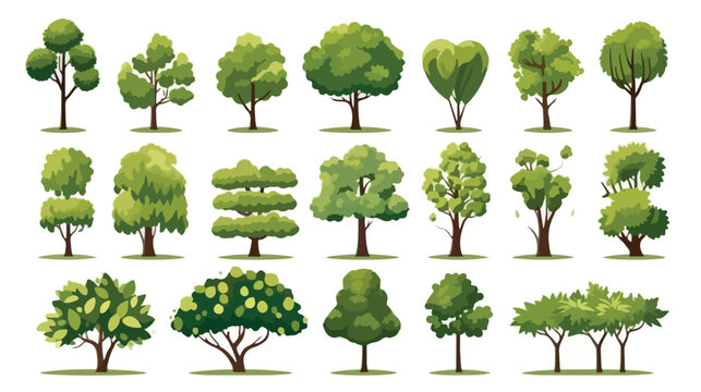 Rendering picture of cartoon trees. Blank copy space
