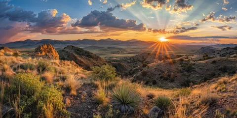 Fotobehang Arizona desert © toomi123