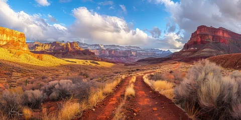 Foto op Plexiglas Arizona desert © toomi123