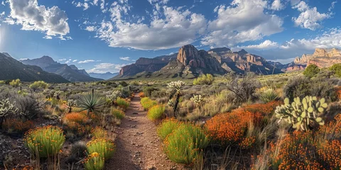 Wandaufkleber Arizona desert © toomi123