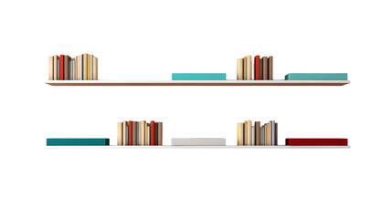 A diverse assortment of books rest neatly on a couple of shelves, showcasing a world of knowledge and imagination