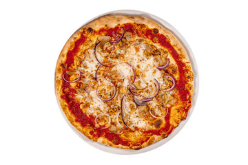 Homemade chicken pizza with onion and tomatoes sauce.