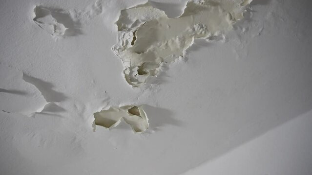 Peeling paint on house ceiling due to moisture and humidity in closed room. Old apartment or leaking floor upstairs causing wall paint to fall apart or to peel off and crack. Home issues to fix