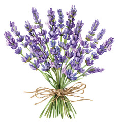 Lavender Bouquet Clipart Clipart isolated on white background