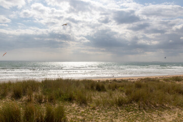 waves on the beach