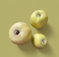 Perfect Fresh Green Apple Isolated on green Background