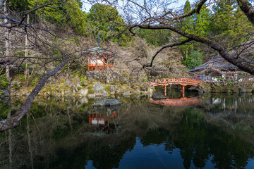 京都醍醐寺 弁天池と弁天堂の春景色