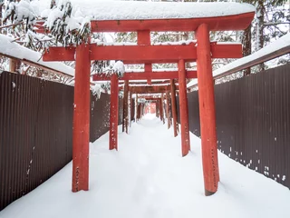 Gordijnen Torii Gate in Snow © Kenny