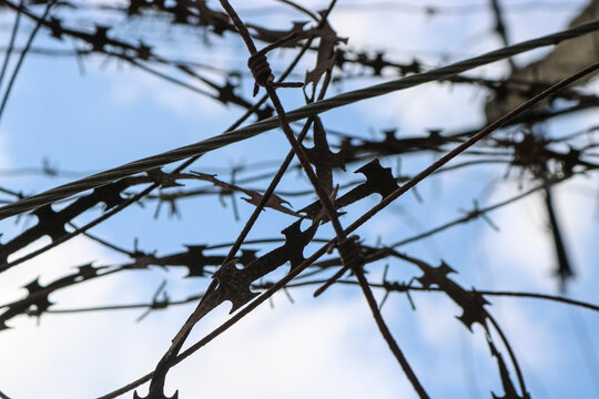 Barbed wire close-up against the sky.