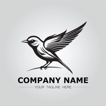 Bird logo company concept image vector