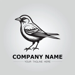 Bird logo company concept image vector