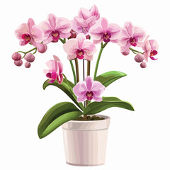 Naklejka na ściany i meble Potted Pink Orchids Clipart 