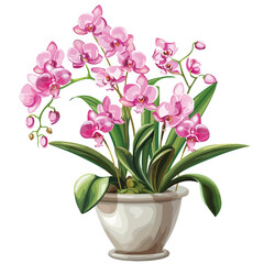Naklejka na ściany i meble Potted Pink Orchids Clipart 