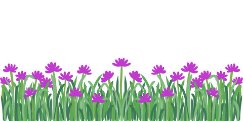 purple flower border