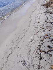 plage