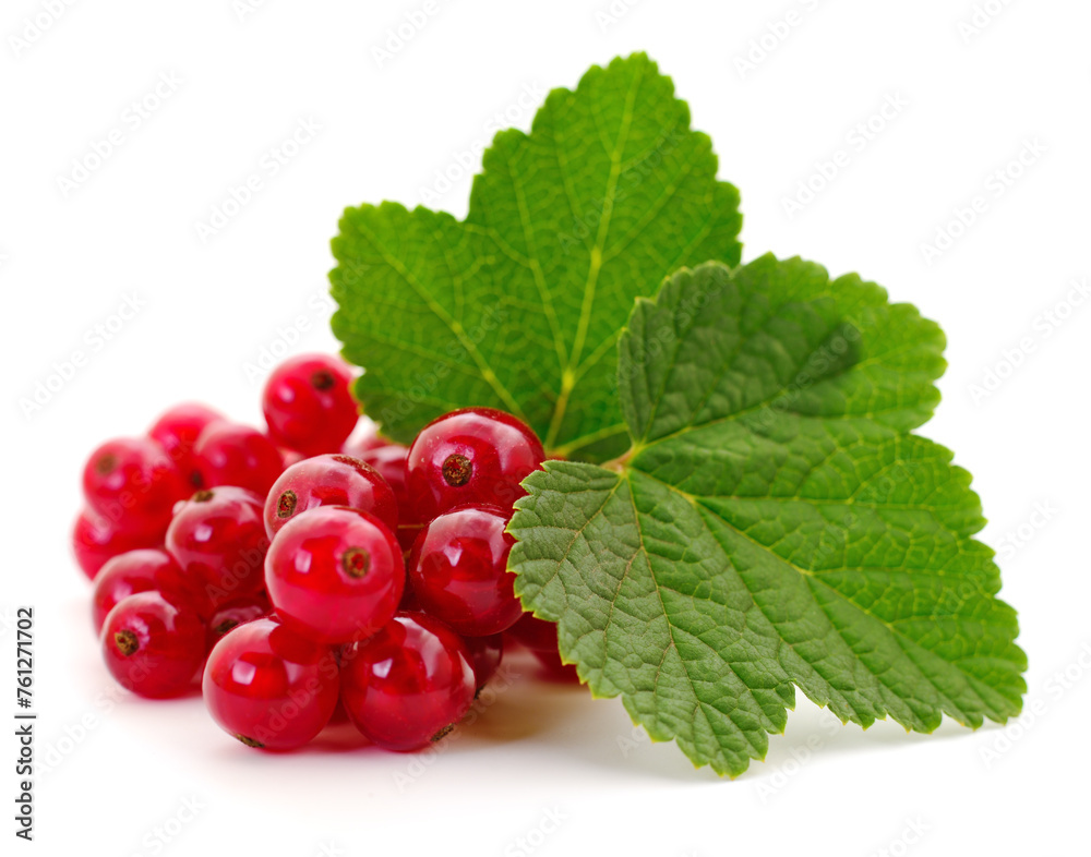 Canvas Prints red currants with green leaves.