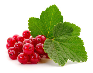 Red currants with green leaves. - 761271702