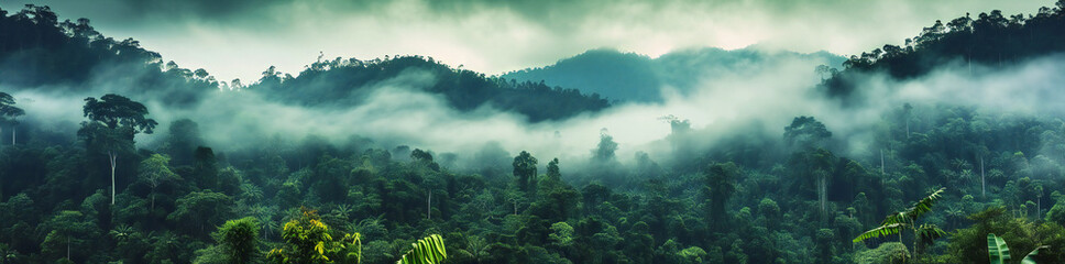 Tropical Rainforest Landscape Panorama - obrazy, fototapety, plakaty