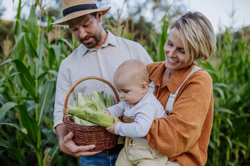 Portrait of parents with beautiful baby harvesting corn on the field.