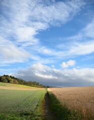Fototapeta premium 地元、田舎道、ふるさと、田舎