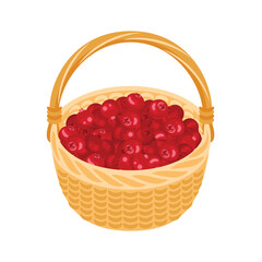 Basket with cranberry. Food icon. Vector cartoon flat illustration of fresh ripe berry.