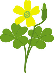 oxalis clipart