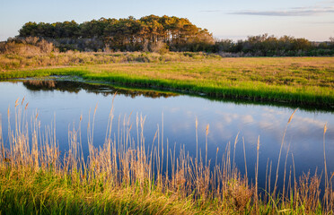 View of a River at Chincoteague National Wildlife Refuge in Virginia