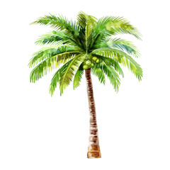 Obraz premium coconut tree watercolor good quality and good design