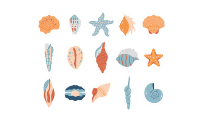 Vector set of 15 illustrations of sea and ocean shells