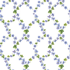 Seamless pattern with flowers of the blue Anemone hepatica (Hepatica nobilis, liverleaf, liverwort, kidneywort, pennywort). Watercolor hand drawn illustration isolated on white background
