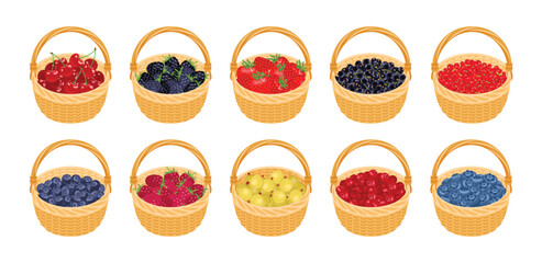 Fresh berry in baskets. Big set of vector cartoon illustrations of different berries. 