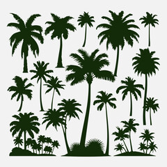 flat design palm trees silhouette collection