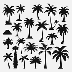 flat design palm trees silhouette collection