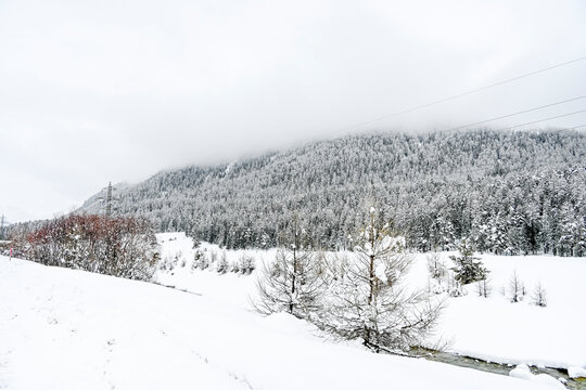 Samedan, Wanderweg, Winterlandschaft, Flaz, Fluss, Oberengadin, Langlauf, Langlaufloipe, Inn, Inntal, Bever, Alpen, Graub&uuml;nden, Winter, Schweiz