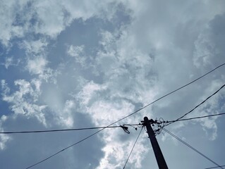 Silhouette of electric pole under the sky