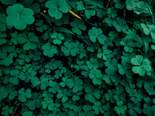 abstract green leaves lush foliage background