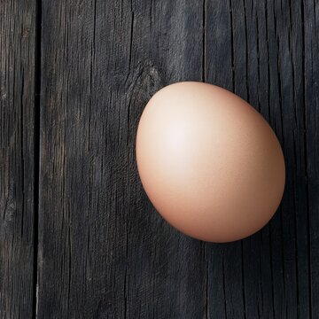Chicken egg on a dark wooden background