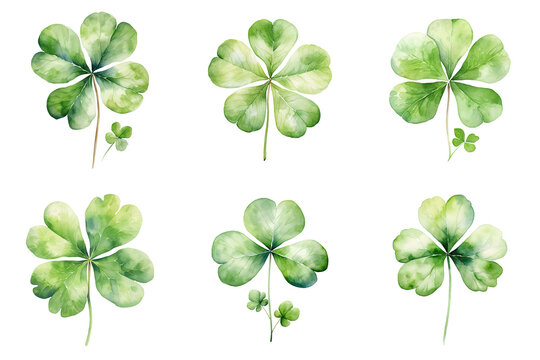 Vibrant Clover Watercolor Painting