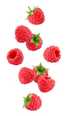 Falling Raspberry isolated on white background, full depth of field © grey