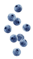 Falling Blueberry isolated on white background, full depth of field