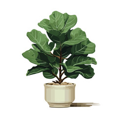 A trendy fiddle leaf fig tree illustration 